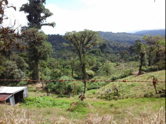 VENTA DE FINCA EN EL GUARCO DE CARTAGO