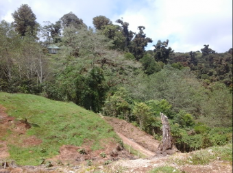 VENTA DE FINCA EN EL GUARCO DE CARTAGO