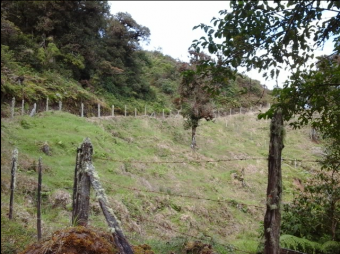 VENTA DE FINCA EN EL GUARCO DE CARTAGO