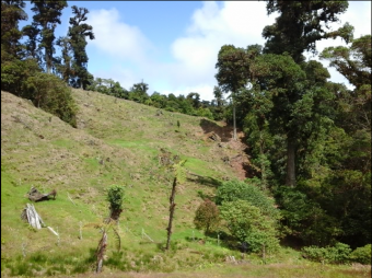 VENTA DE FINCA EN EL GUARCO DE CARTAGO