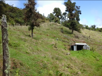 VENTA DE FINCA EN EL GUARCO DE CARTAGO