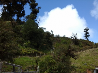 VENTA DE FINCA EN EL GUARCO DE CARTAGO