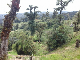 VENTA DE FINCA EN EL GUARCO DE CARTAGO