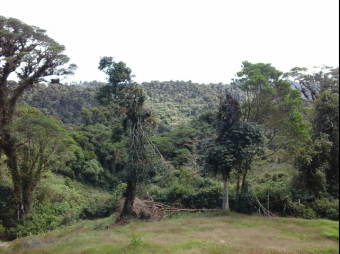 VENTA DE FINCA EN EL GUARCO DE CARTAGO