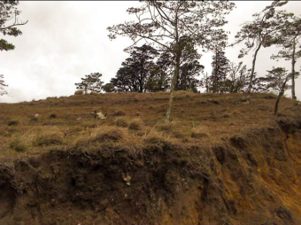 VENTA DE TERRENO EN DESAMPARADOS