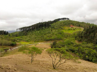 SALE OF LAND IN DESAMARADOS