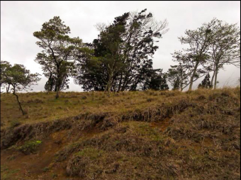 SALE OF LAND IN DESAMARADOS