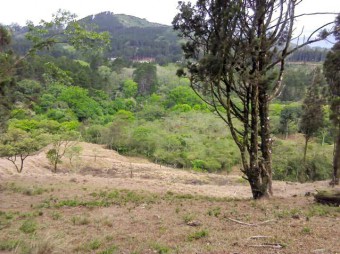 SALE OF LAND IN DESAMARADOS