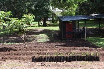 Se vende propiedad con amplio terreno en Poas Alajuela A23-1977