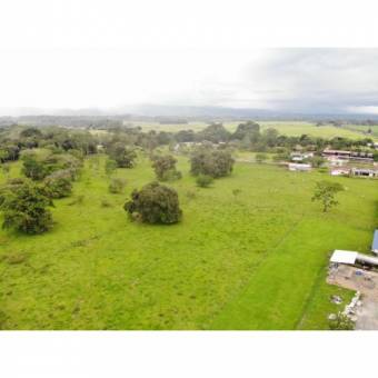 VENTA DE LOTE, ALAJUELA, SAN CARLOS, FLORENCIA, MUELLE 