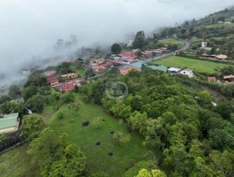 SE VENDE QUINTA EN EL CARMEN DE SANTA CRUZ DE TURRIALBASe vende quinta de 9.365 m2 ubicado en el Car