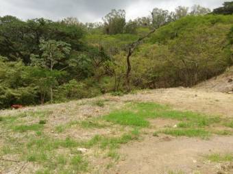 Se vende lote con mas de 1,300m2 en Santa Ana 24-1033 