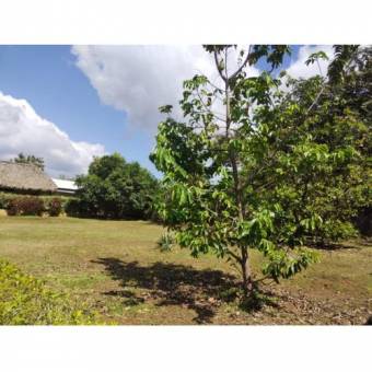 VENTA DE DOS LOTES, ALAJUELA, OROTINA, CONDOMINIO PACIFIC SUN 