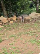 ¡Venta de Quinta Exclusiva en Residencial Privado, Barrio Jesús de Atenas! ¡Venta de Quinta Exclusiva en Residencial Privado, Barrio Jesús de Atenas!