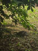 ¡Venta de Quinta Exclusiva en Residencial Privado, Barrio Jesús de Atenas! ¡Venta de Quinta Exclusiva en Residencial Privado, Barrio Jesús de Atenas!