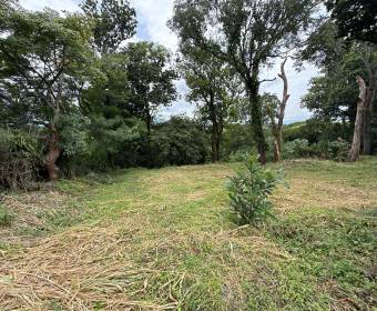 Propiedad de uso mixto en venta en Río Segundo, Alajuela