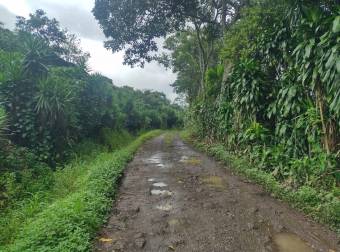 VENTA DE LOTE, ALAJUELA, NARANJO, SAN JERÓNIMO 