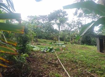 VENTA DE LOTE, ALAJUELA, NARANJO, SAN JERÓNIMO 