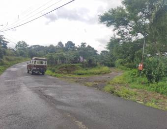 VENTA DE LOTE, ALAJUELA, NARANJO, SAN JERÓNIMO 