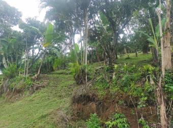 VENTA DE LOTE, ALAJUELA, NARANJO, SAN JERÓNIMO 