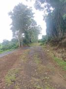 VENTA DE LOTE, ALAJUELA, NARANJO, SAN JERÓNIMO 