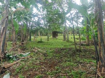 VENTA DE LOTE, ALAJUELA, NARANJO, SAN JERÓNIMO 
