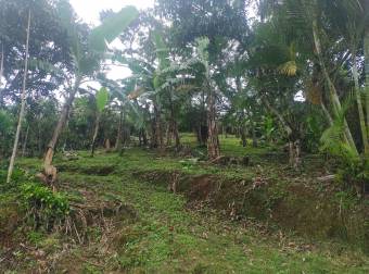 VENTA DE LOTE, ALAJUELA, NARANJO, SAN JERÓNIMO 