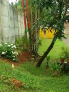 VENTA DE CASA DE CAMPO, ALAJUELA, SAN RAMÓN, CHACHAGUA  