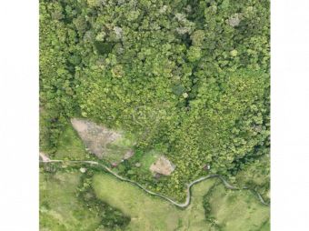 SALE OF 12-HECTARE LOT, TUCURRIQUE, CARTAGO