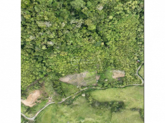 VENTA DE LOTE DE 12 HECTÁREAS, TUCURRIQUE, CARTAGO