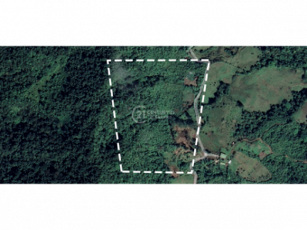 VENTA DE LOTE DE 12 HECTÁREAS, TUCURRIQUE, CARTAGO
