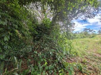 Se vende amplio lote con 8.6 hectáreas en Desamparados Alajuela 25-1444