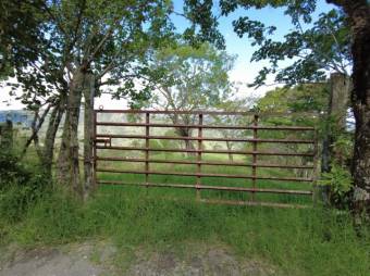 Se vende amplia finca de 26 hectáreas en Ciudad Colón 23-3180