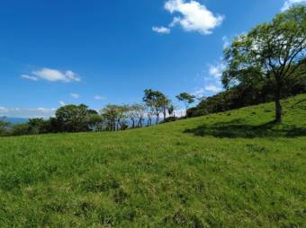 Se vende amplia finca de 26 hectáreas en Ciudad Colón 23-3180