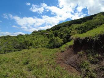 Se vende amplia finca de 26 hectáreas en Ciudad Colón 23-3180