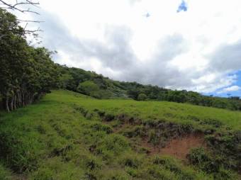 Se vende amplia finca de 26 hectáreas en Ciudad Colón 23-3180