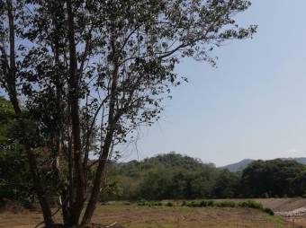 Se vende amplio terreno de 36,5 hectáreas en Nosara Guanacaste 23-2211 