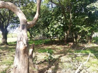 Se vende amplio terreno de 36,5 hectáreas en Nosara Guanacaste 23-2211 