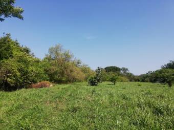 Se vende amplio terreno de 36,5 hectáreas en Nosara Guanacaste 23-2211 