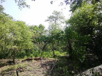 Se vende amplio terreno de 36,5 hectáreas en Nosara Guanacaste 23-2211 