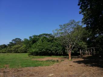 Se vende amplio terreno de 36,5 hectáreas en Nosara Guanacaste 23-2211 