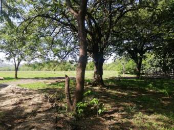 Se vende amplio terreno de 36,5 hectáreas en Nosara Guanacaste 23-2211 