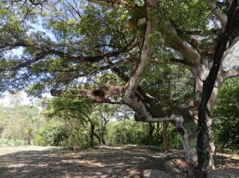 Se vende amplio terreno de 36,5 hectáreas en Nosara Guanacaste 23-2211 