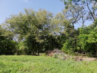 Se vende amplio terreno de 36,5 hectáreas en Nosara Guanacaste 23-2211 