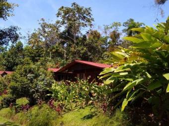 Se vende amplio hotel con 9 hectáreas de lote en San Ramon Alajuela 24-671, $ 7,278,000, 22, Alajuela, San Ramón