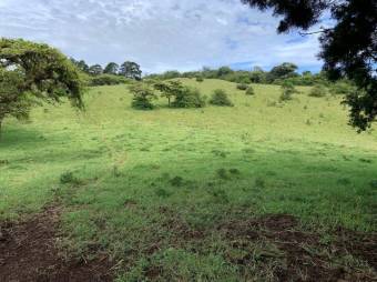 Se vende amplio lote de 28 hectáreas en San Nicolas de Cartago 25-338