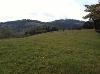 Se vende amplio lote de 28 hectáreas en San Nicolas de Cartago 25-338