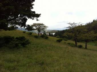 Se vende amplio lote de 28 hectáreas en San Nicolas de Cartago 25-338