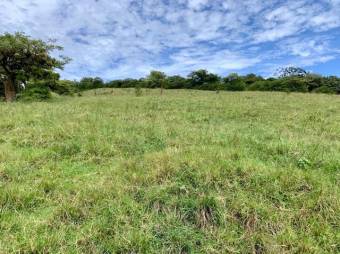 Se vende amplio lote de 28 hectáreas en San Nicolas de Cartago 25-338