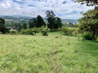 Se vende amplio lote de 28 hectáreas en San Nicolas de Cartago 25-338